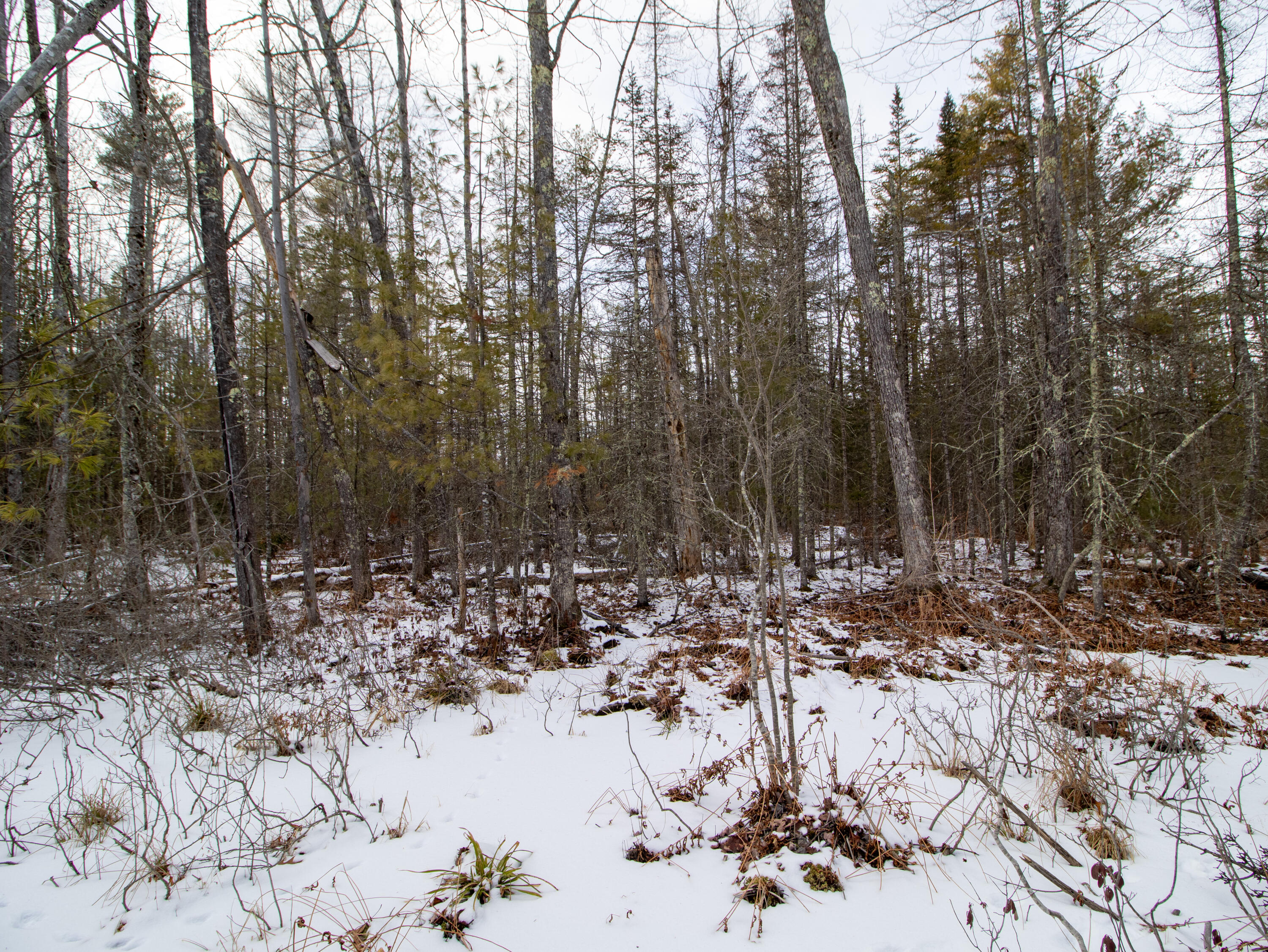 Lot 28-1-a Saco Road Standish, ME 04084 - Photo 14 of 22 IMG_4493