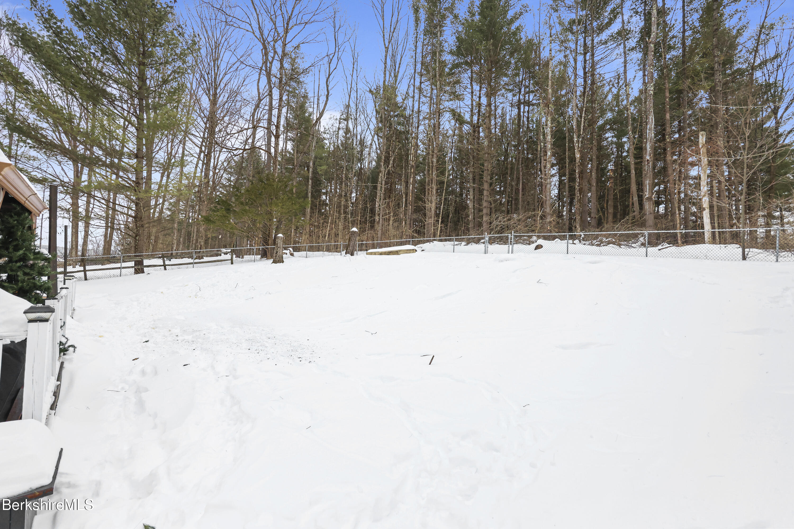 145 Velma Avenue Pittsfield, MA 01201 - Photo 20 of 20 250-Back-Yard