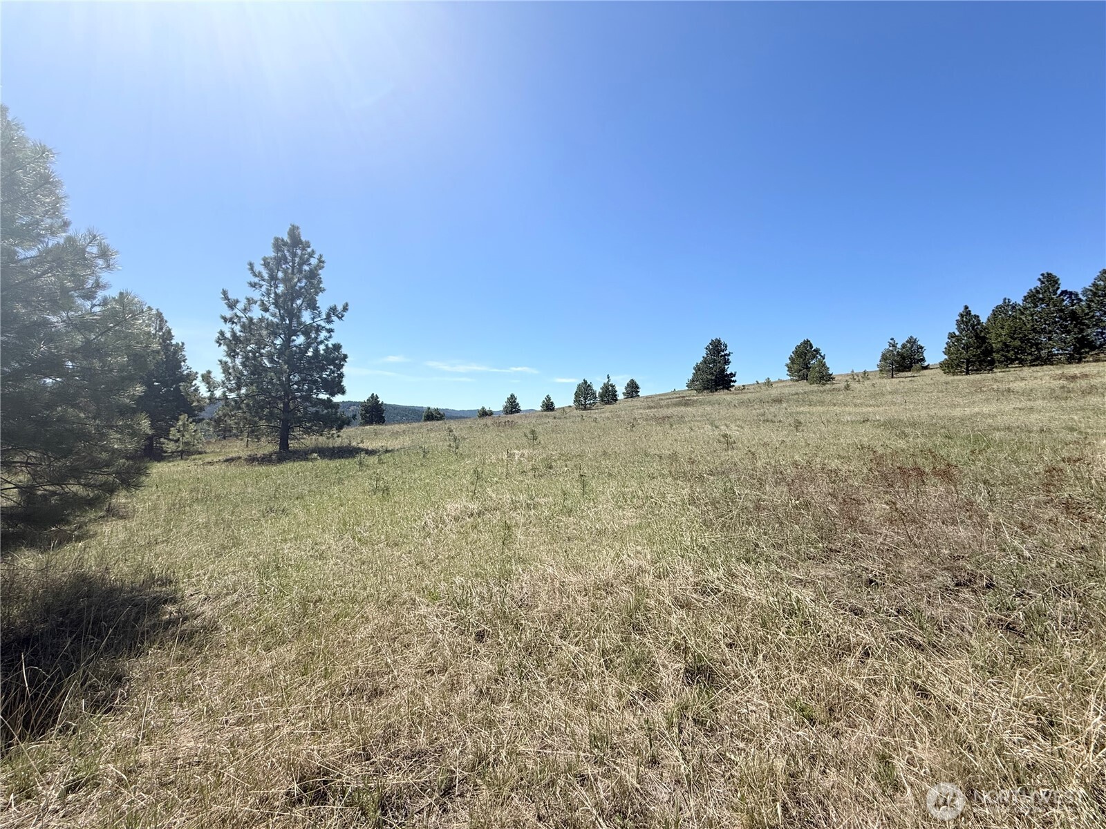 35 Sqove Road Wauconda, WA 98859 - Photo 3 of 7