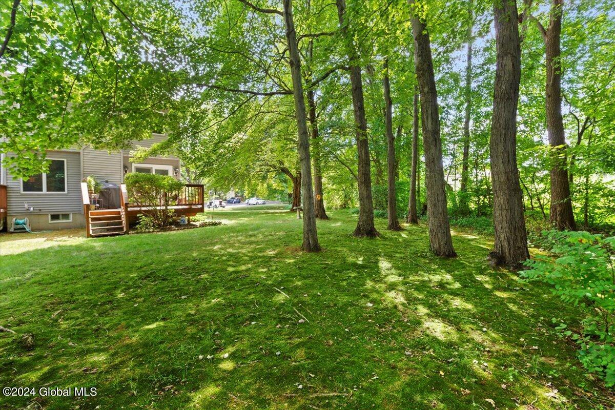 11 Stonegate Court Colonie, NY 12205 - Photo 29 of 36 33-MW2_7311