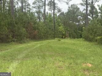 50 Harvest Road Coleman, GA 39836 - Photo 7 of 37 a view of outdoor space with a yard