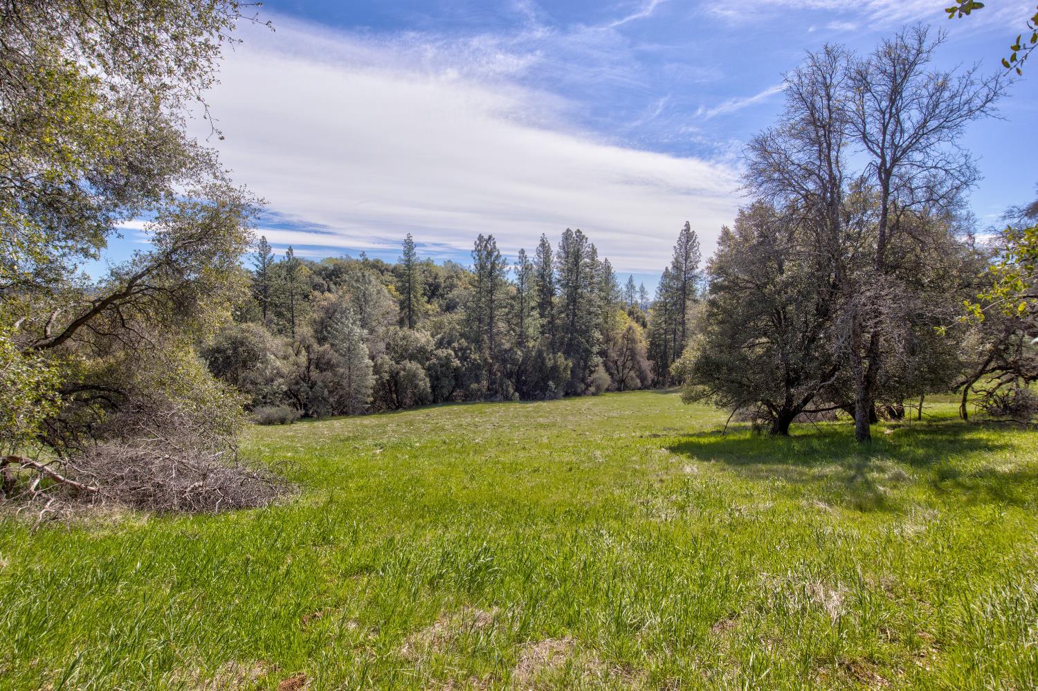 18800 Charleston Road Volcano, CA 95689 - Photo 23 of 47 Gallery Image 23