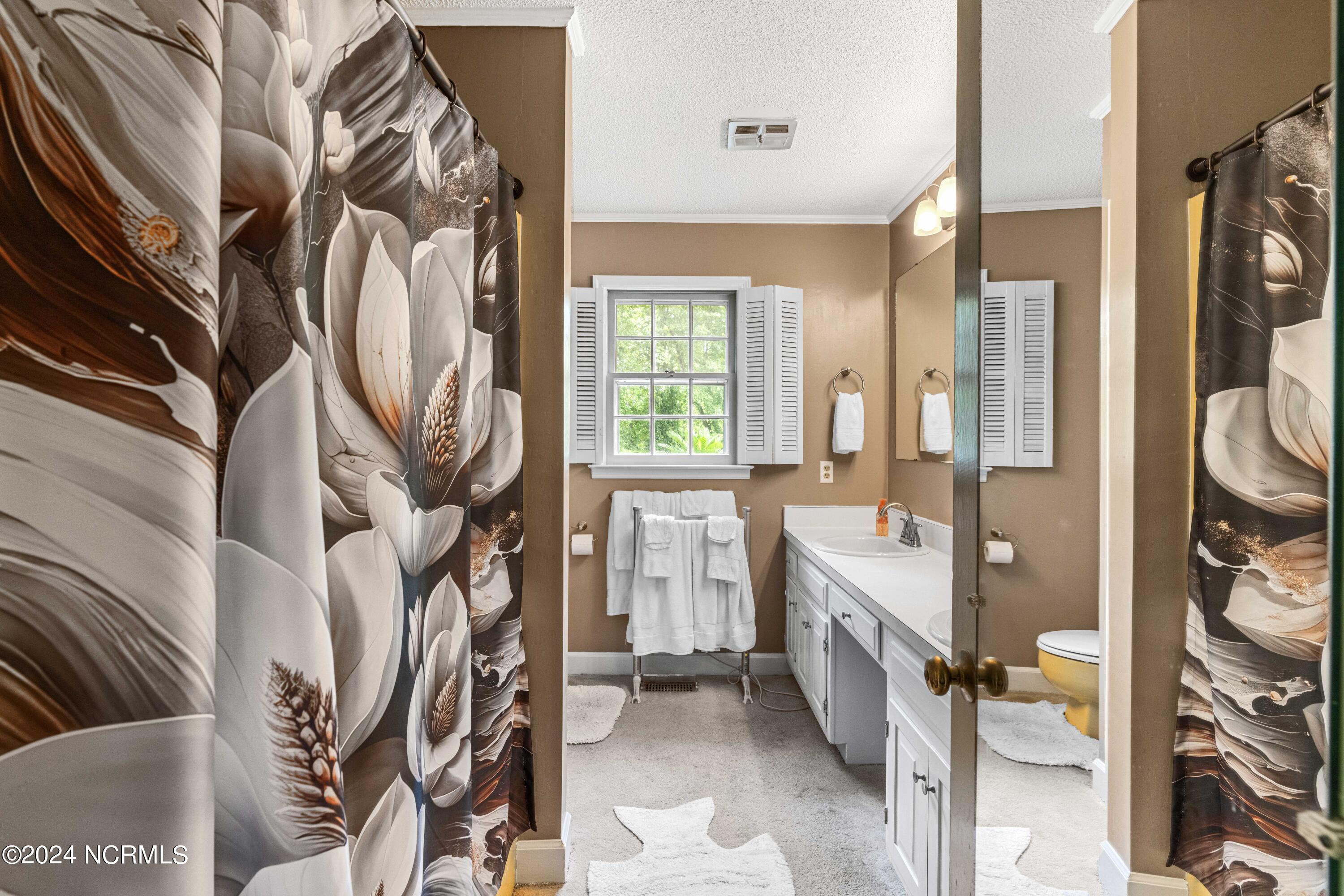 1350 Grady Road Clinton, NC 28328 - Photo 18 of 60 Master Bath 1