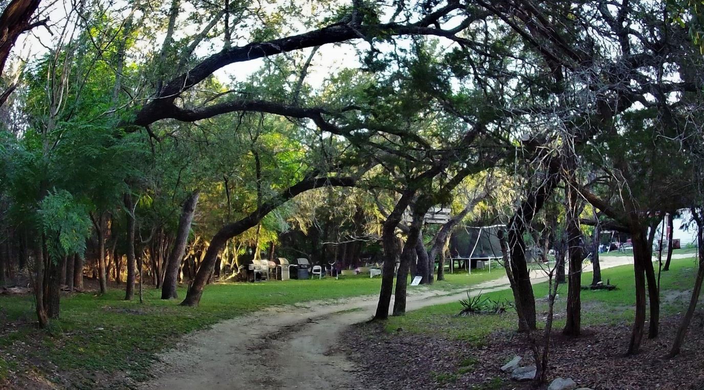 1275 County Road 4820 Kempner, TX 76539 - Photo 4 of 5 a view of a yard with a trees