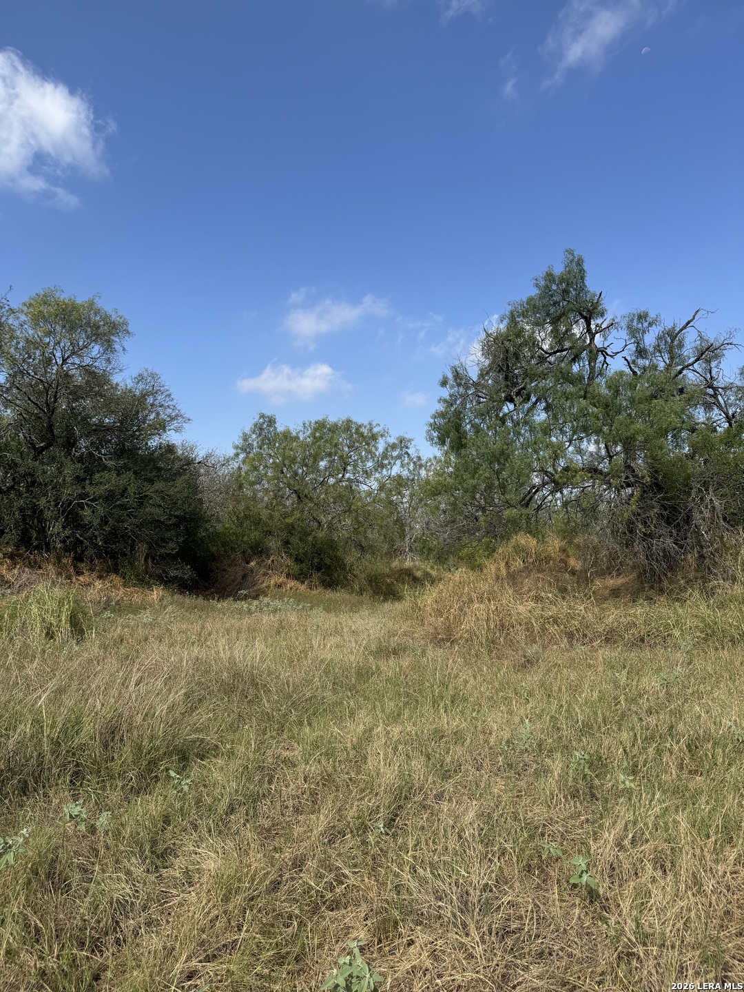 19455 Luckey Road Lytle, TX 78052 - Photo 26 of 32 Gallery Image 26