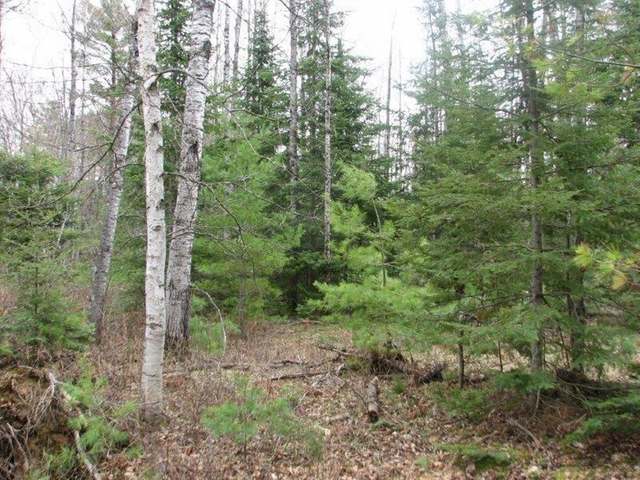 On Burnt Bridge Road, Unit LOT 4 St. Germain, WI 54558 - Photo 14 of 15 Gallery Image 14