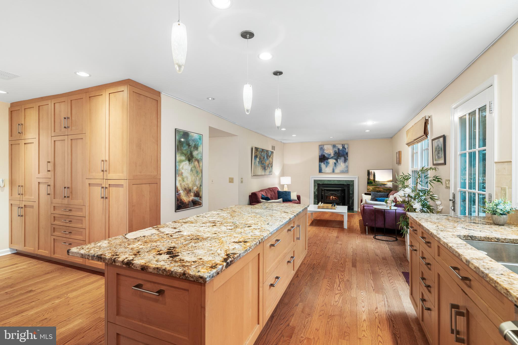 Magnificent kitchen / family room