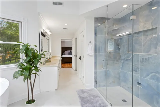 a room with a potted plant and a shower