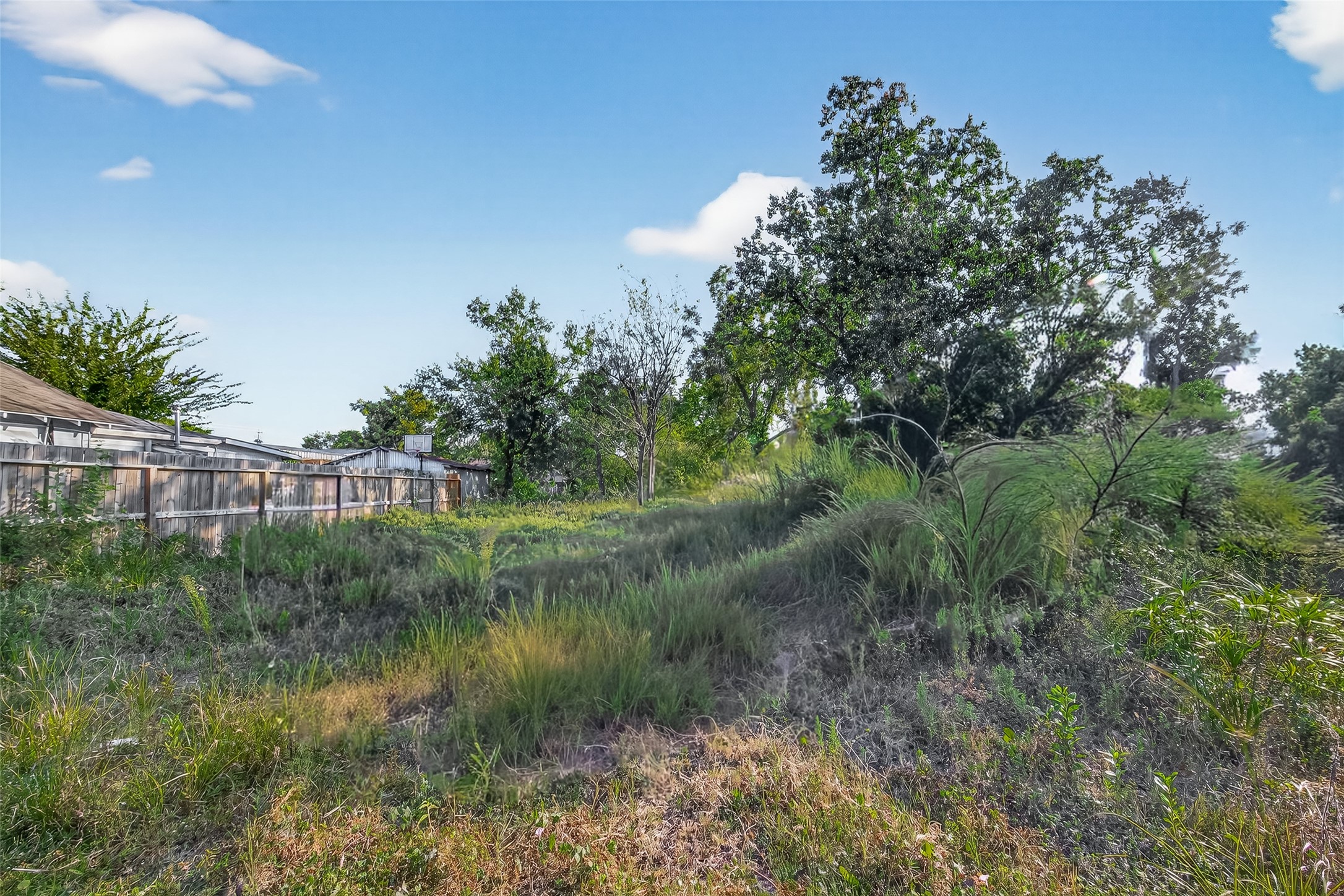 119 Sylvester Road Houston, TX 77009 - Photo 6 of 16 a view of a lush green forest with lots of trees
