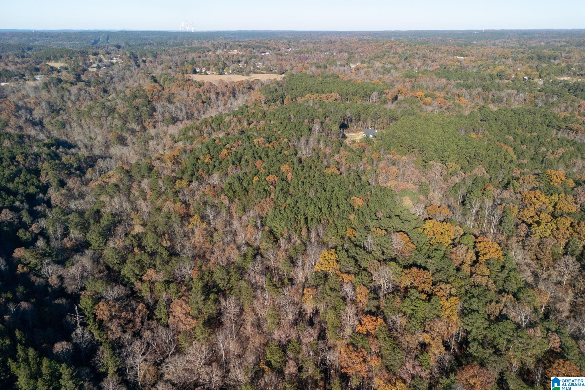 1575 Steve Crowder Road, Unit 1 Bessemer, AL 35023 - Photo 4 of 19 Gallery Image 4