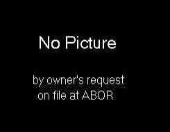 489 Lost Road Harwood, TX 78632 - Photo 1 of 1 Exterior Front