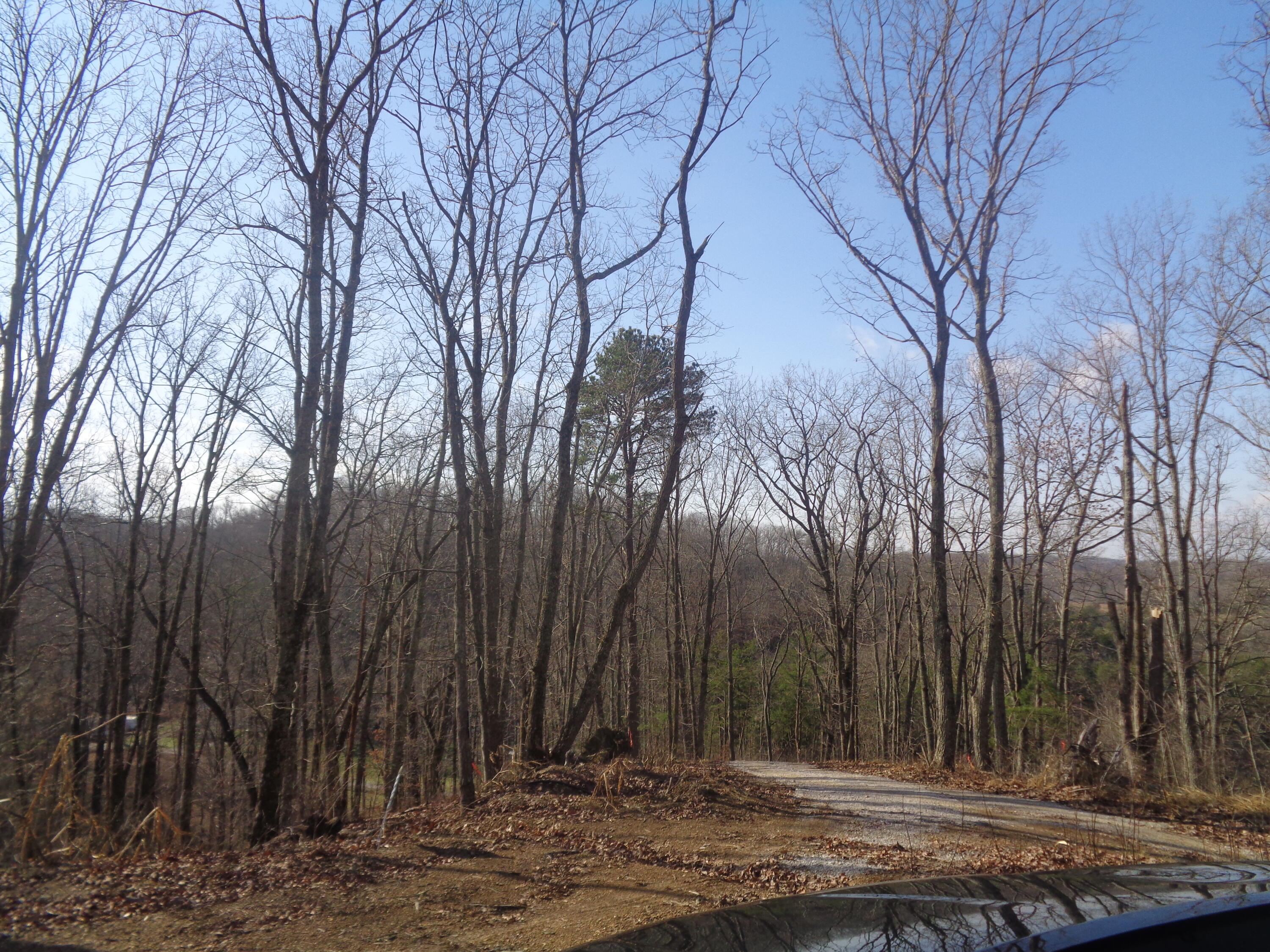 D Freeman Branch Road East Bernstadt, KY 40729 - Photo 1 of 8 DSC07328