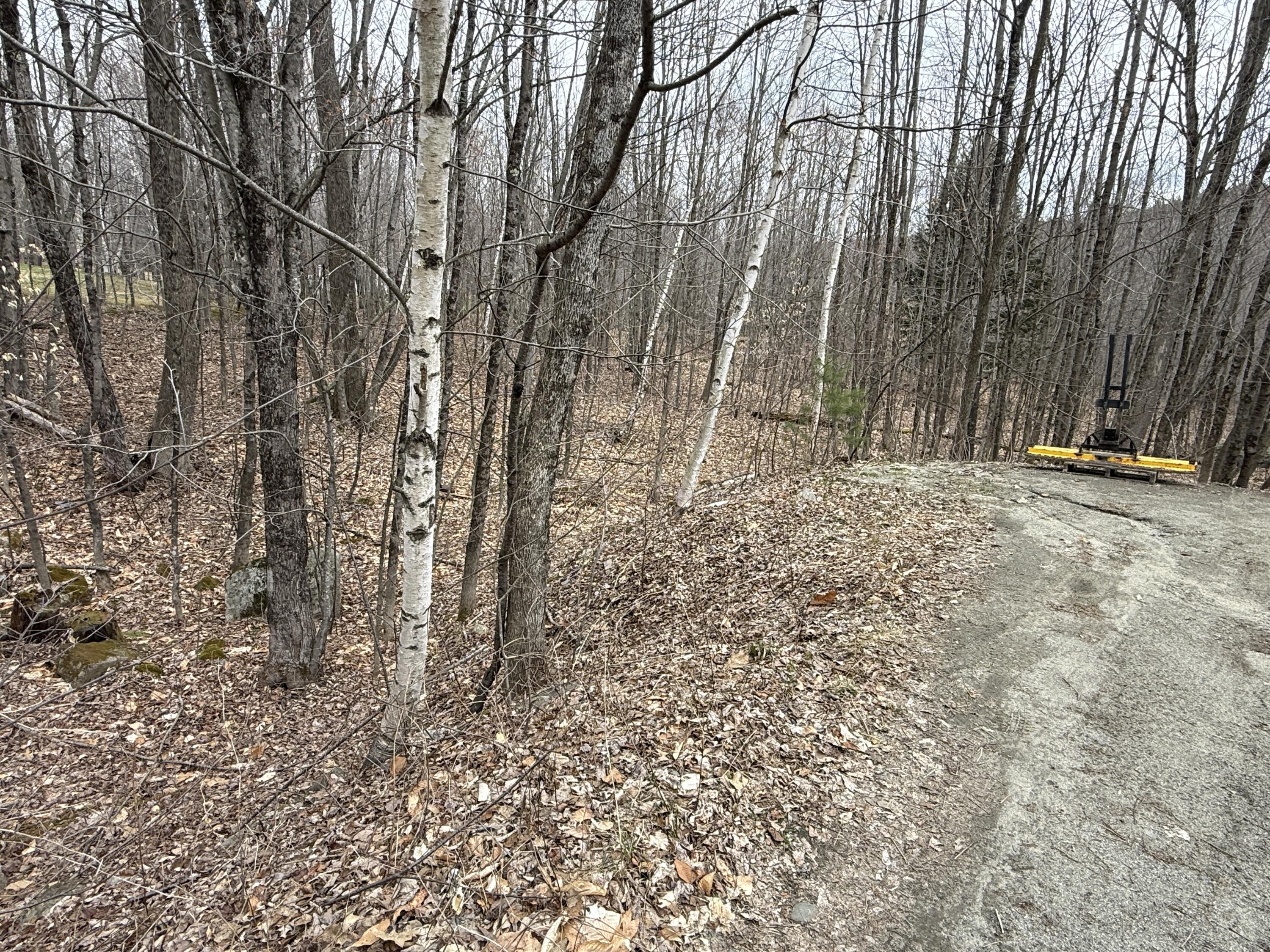 131 Mercer Road Rome, ME 04963 - Photo 3 of 16
