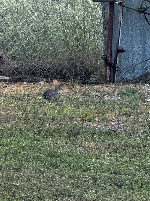 9131 Caroline Road Corpus Christi, TX 78409 - Photo 6 of 9