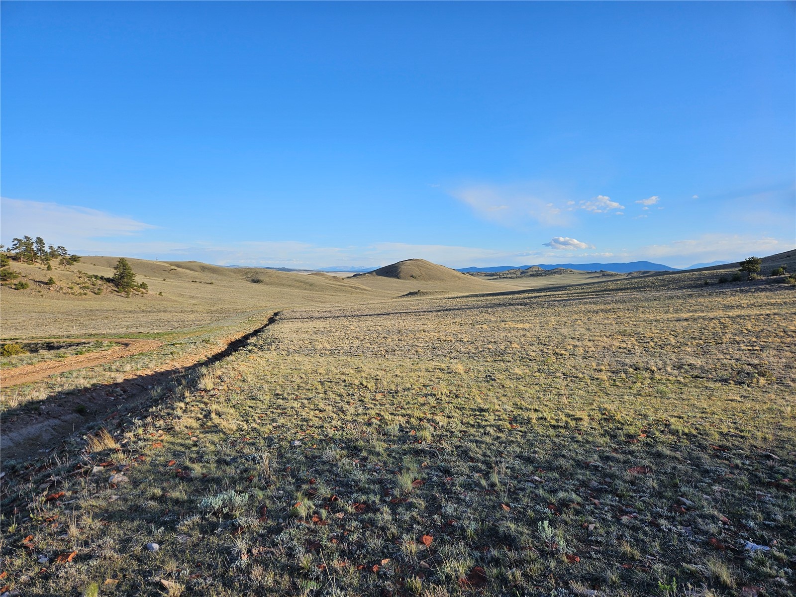 Pcs#24142 Antero Road Hartsel, CO 80449 - Photo 50 of 50