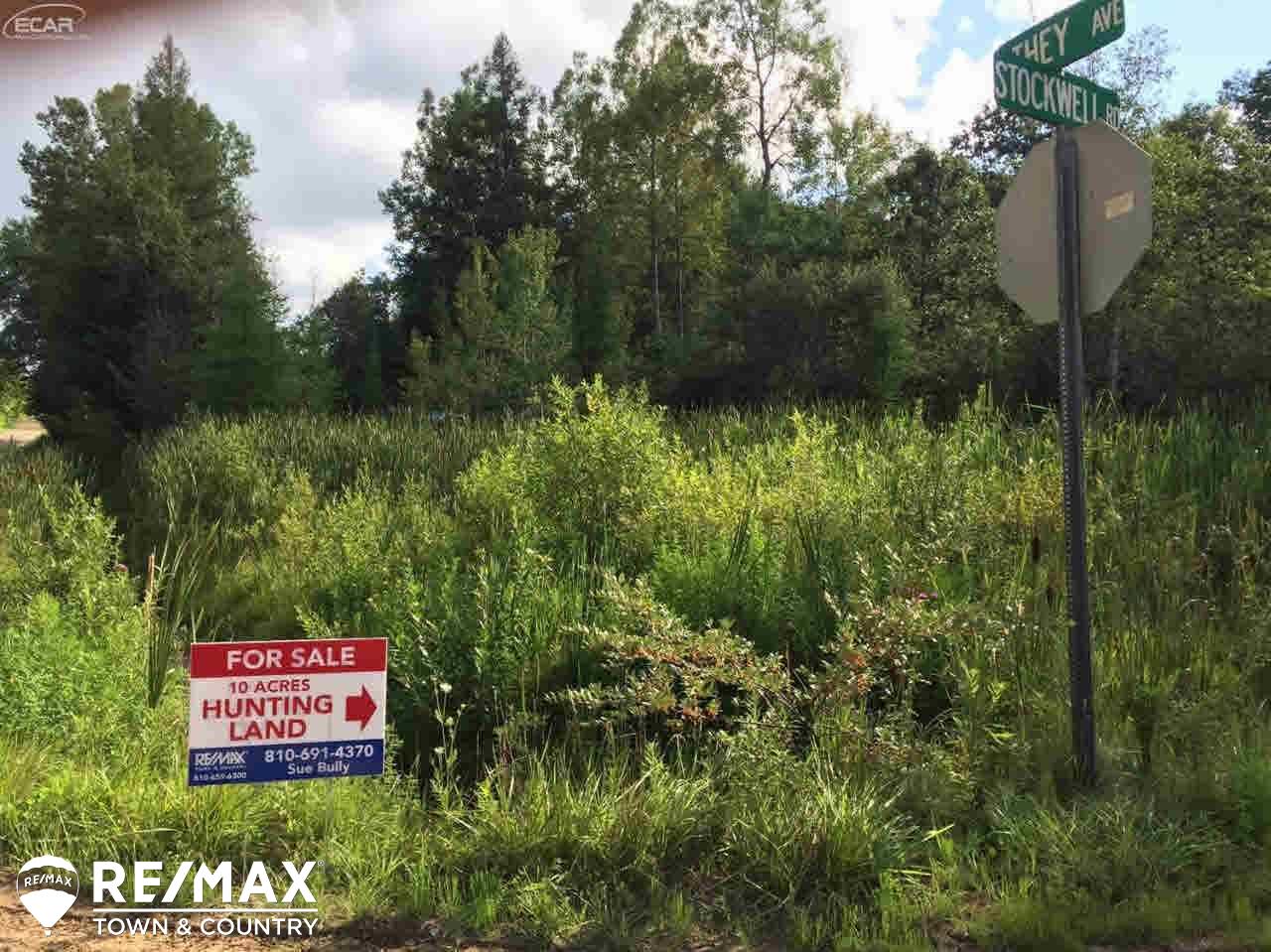 0 Stockwell Road Harrison, MI 48625 - Photo 8 of 8