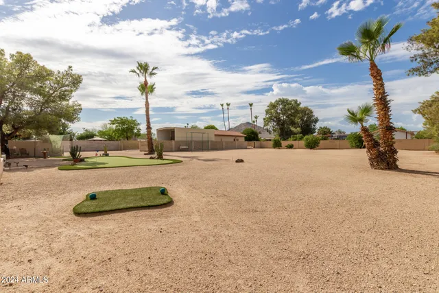 a view of tall trees