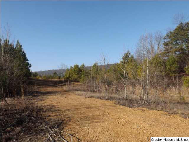 286 County Road, Unit 85 Collinsville, AL 35961 - Photo 15 of 23