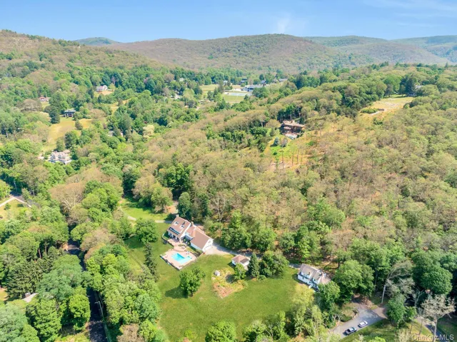a view of a forest with a street