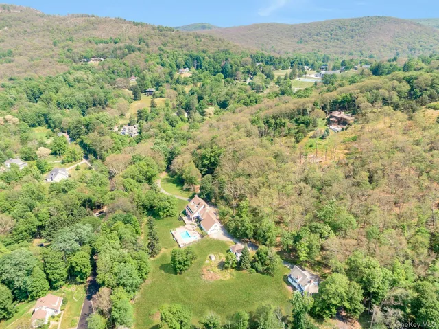 a view of a forest with a street