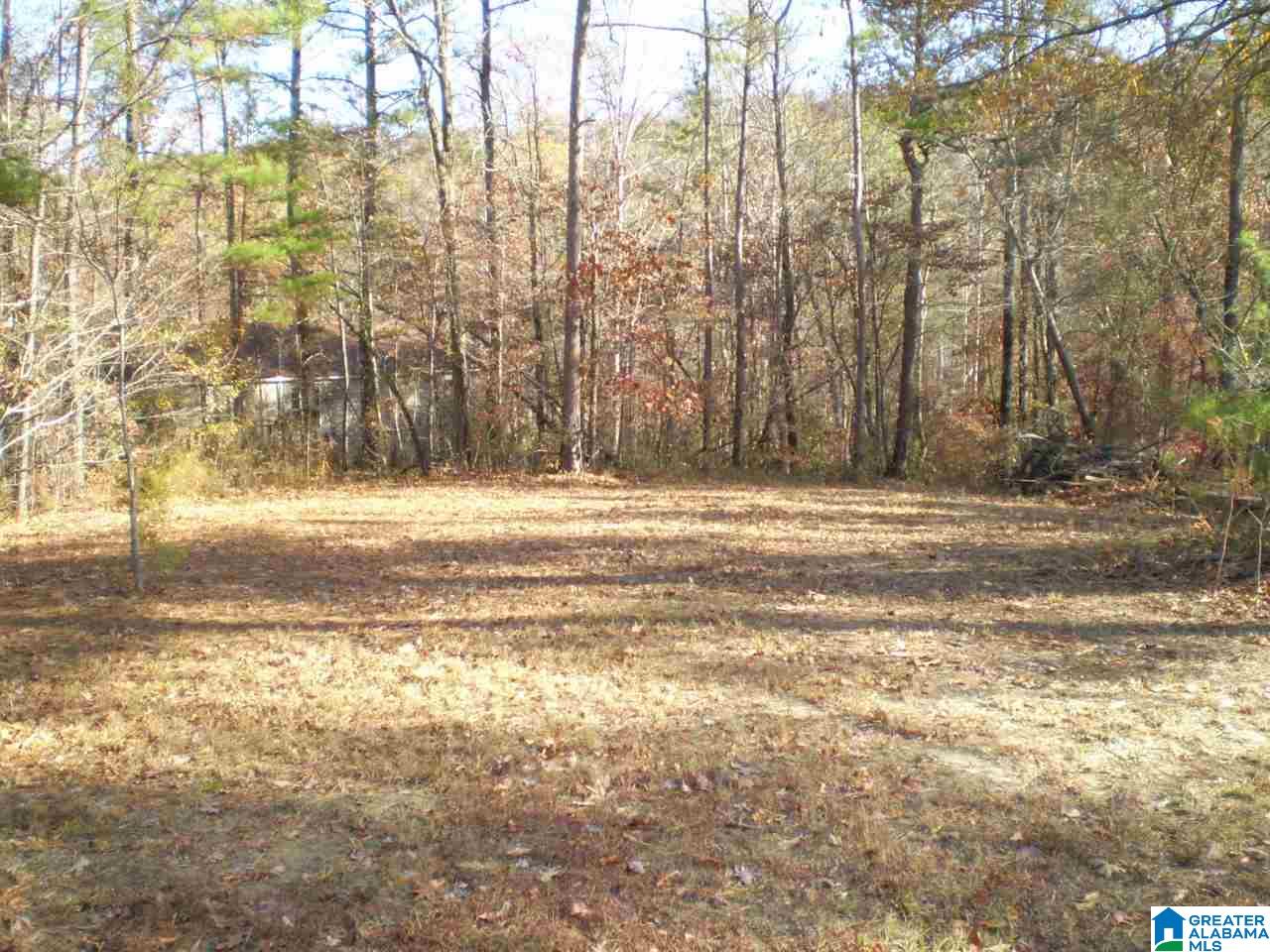 172 Waldrop Road, Unit 9 Ashville, AL 35953 - Photo 20 of 36