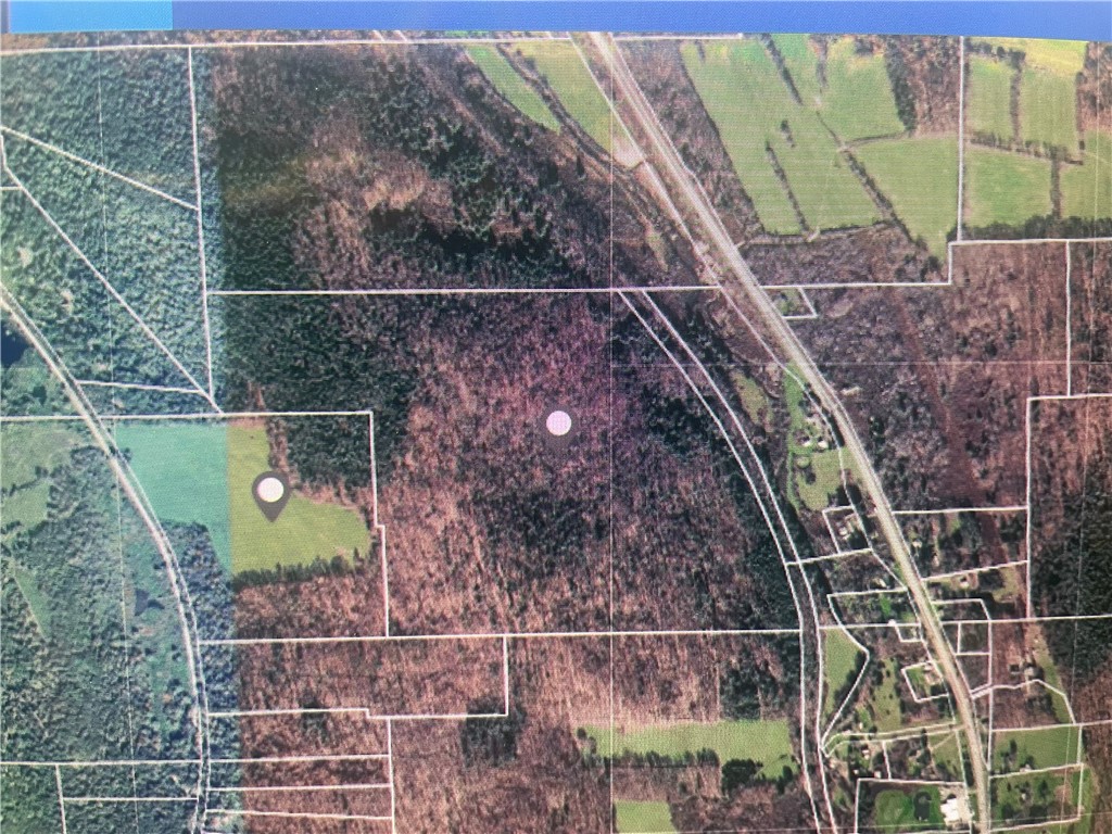 Schlafer Road Bainbridge, NY 13733 - Photo 2 of 6