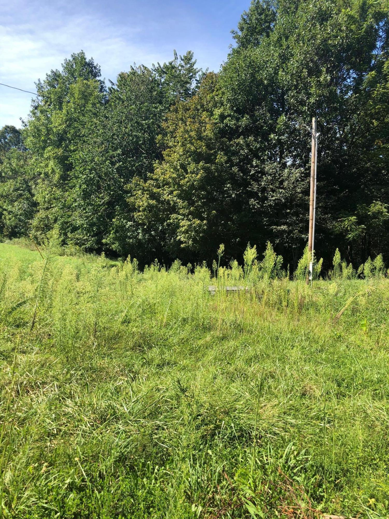 1555 Pleasant Point School Road Waynesburg, KY 40489 - Photo 38 of 58 Gorgeous Land
