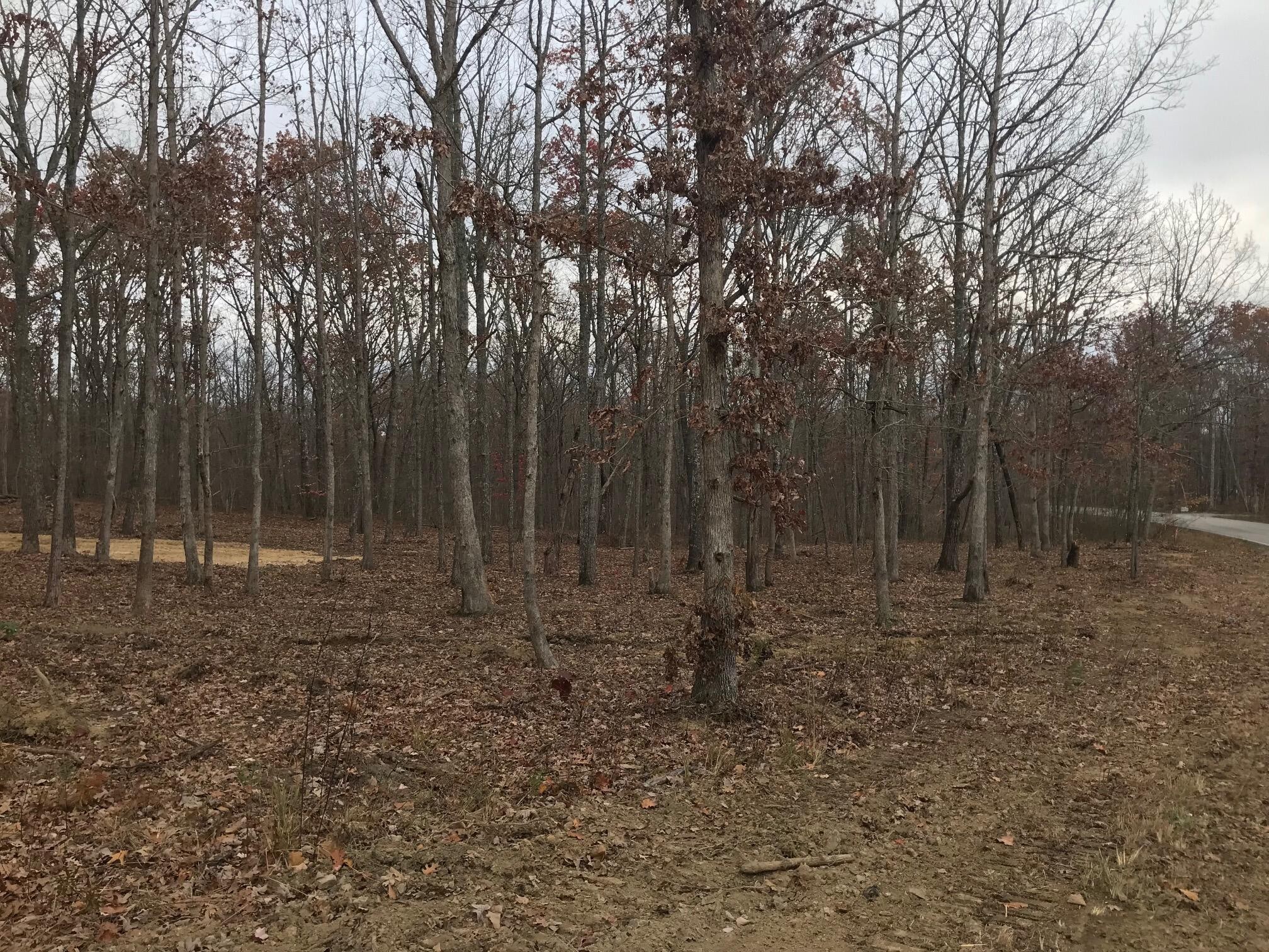 1 White Oak Swamp Road Dunlap, TN 37327 - Photo 4 of 16 Gallery Image 4