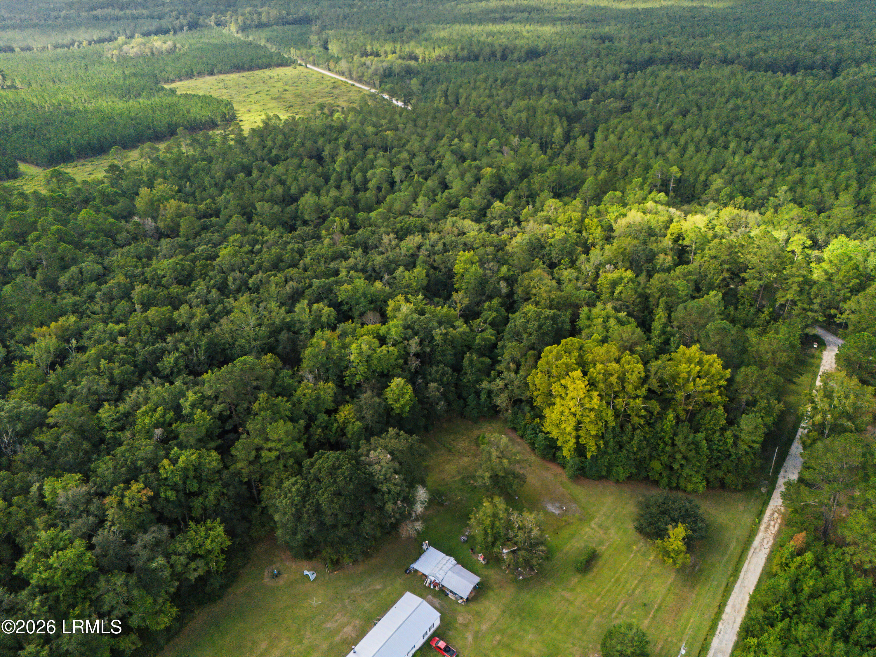 0 Tree Farm Road Walterboro, SC 29488 - Photo 15 of 30 DJI_20260921225945_0322_D