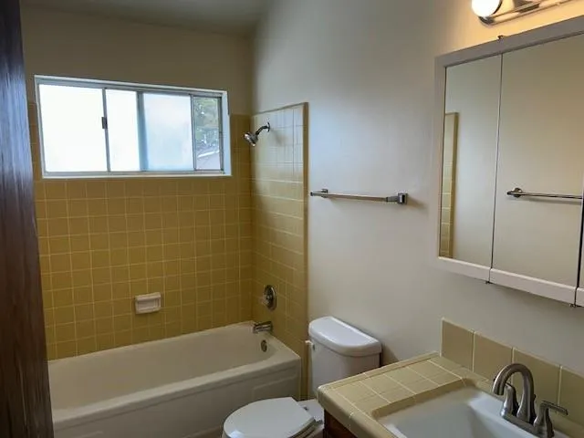a bathroom with a toilet a sink and bathtub