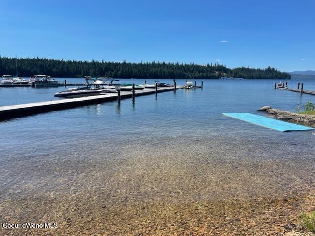 63 Sutton Lane Coolin, ID 83821 - Photo 22 of 40 IMG_4807