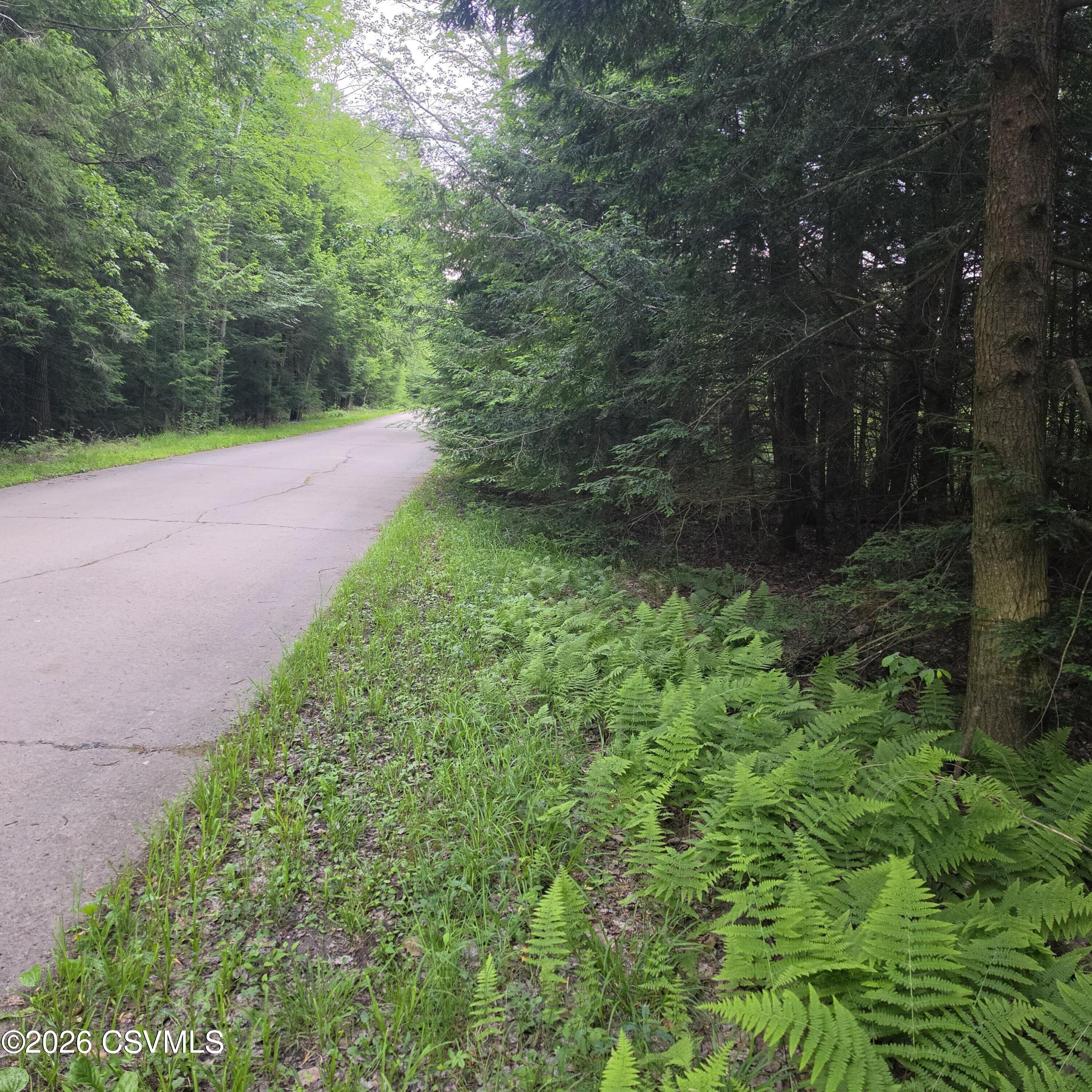 Lot 17 Lark Road Dushore, PA 18614 - Photo 4 of 4
