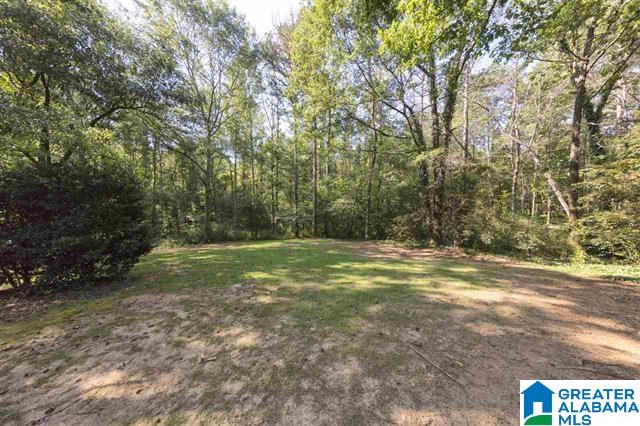 116 Sassafras Circle Chelsea, AL 35043 - Photo 3 of 26