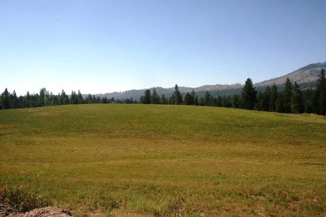 $519,999 | 5203 Olinger Road, Springdale, WA 99173