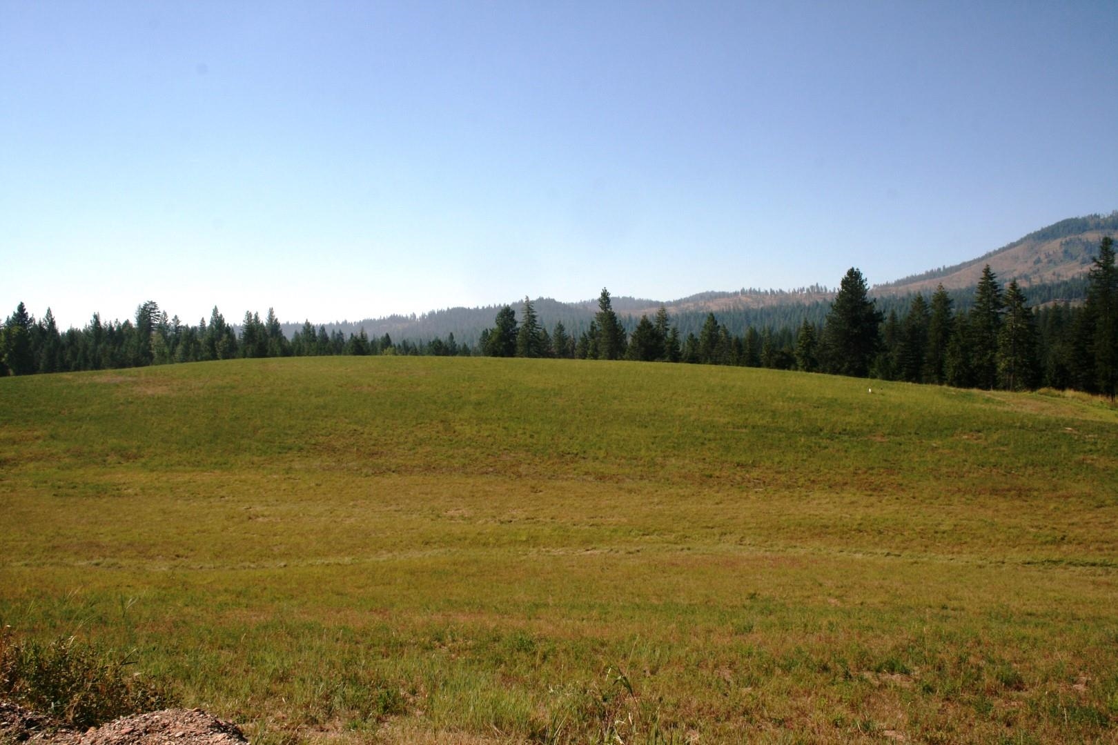 5203 Olinger Road Springdale, WA 99173 - Photo 11 of 24