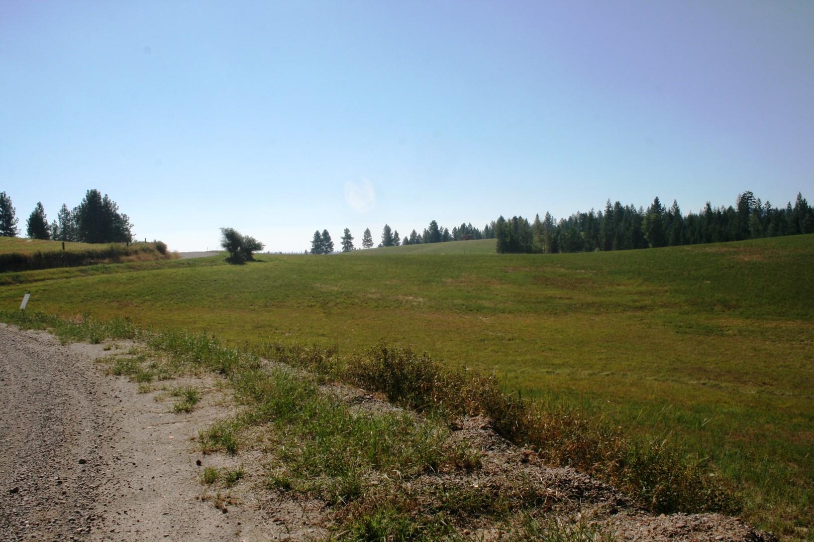 5203 Olinger Road Springdale, WA 99173 - Photo 12 of 24