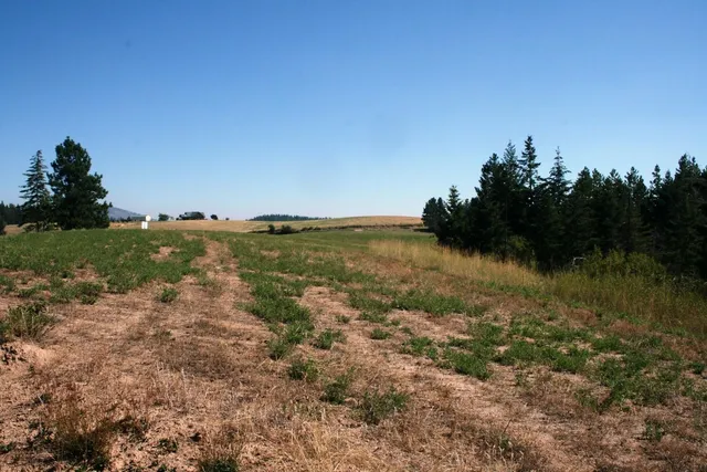 $519,999 | 5203 Olinger Road, Springdale, WA 99173