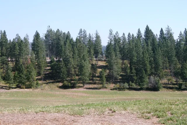 $519,999 | 5203 Olinger Road, Springdale, WA 99173