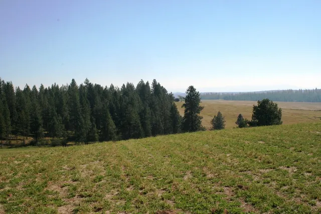 $519,999 | 5203 Olinger Road, Springdale, WA 99173