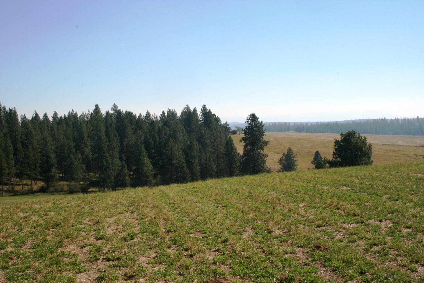 5203 Olinger Road Springdale, WA 99173 - Photo 20 of 24