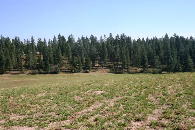 $519,999 | 5203 Olinger Road, Springdale, WA 99173