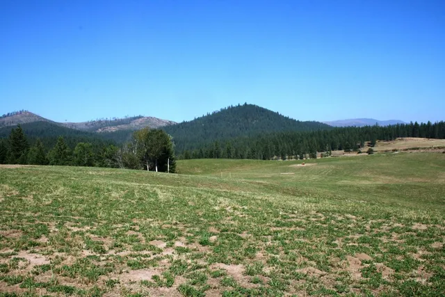 $519,999 | 5203 Olinger Road, Springdale, WA 99173