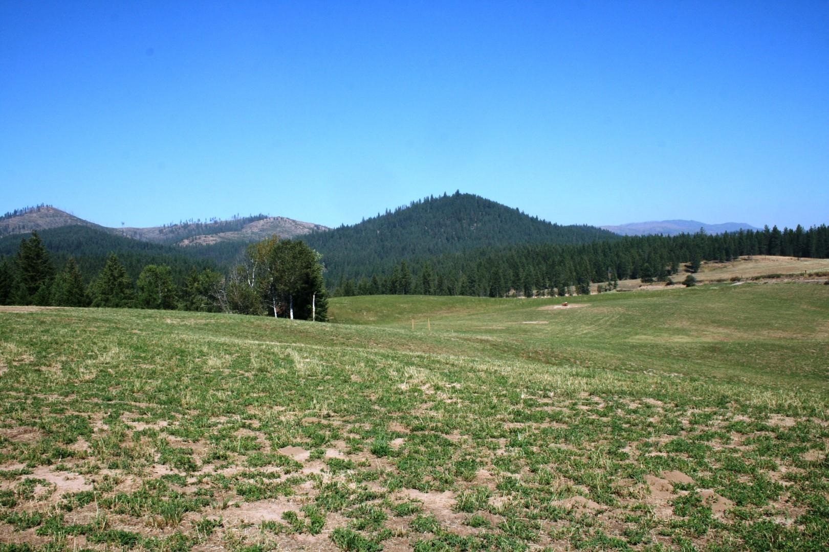 5203 Olinger Road Springdale, WA 99173 - Photo 22 of 24