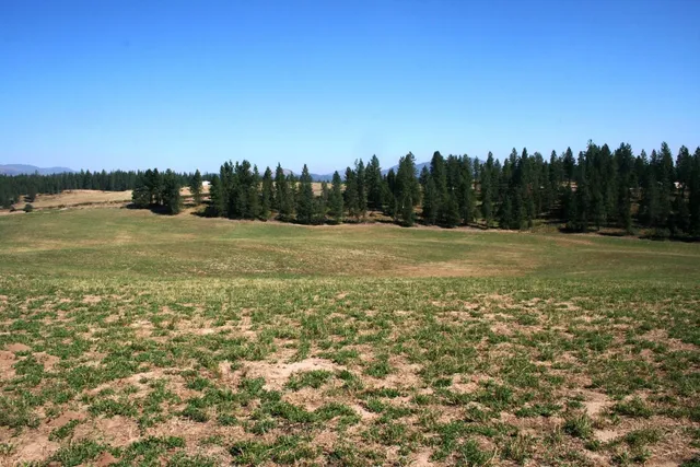 $519,999 | 5203 Olinger Road, Springdale, WA 99173