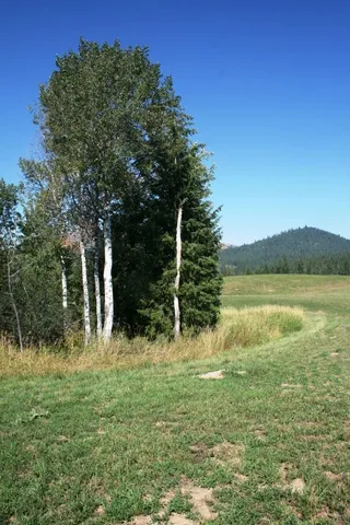 $519,999 | 5203 Olinger Road, Springdale, WA 99173