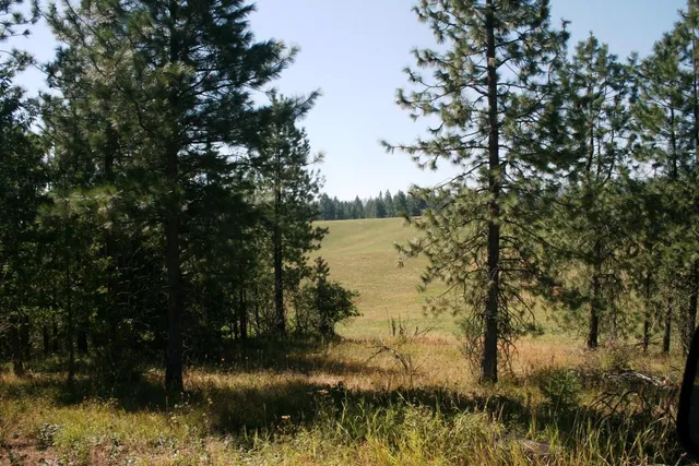 $519,999 | 5203 Olinger Road, Springdale, WA 99173