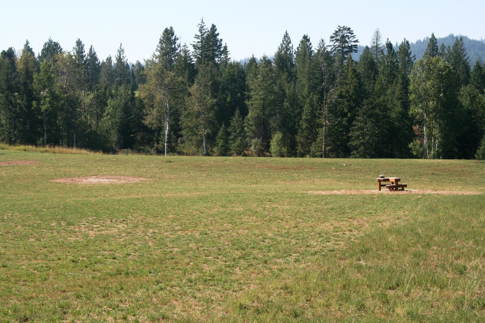 5203 Olinger Road Springdale, WA 99173 - Photo 7 of 24