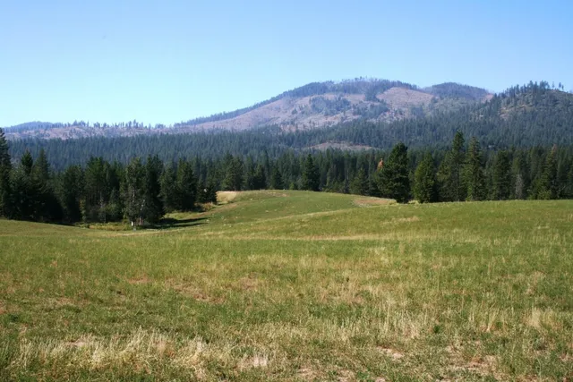 $519,999 | 5203 Olinger Road, Springdale, WA 99173