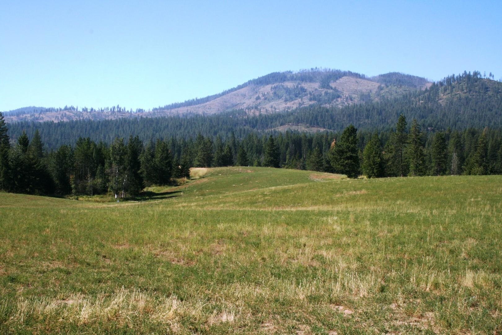 5203 Olinger Road Springdale, WA 99173 - Photo 9 of 24