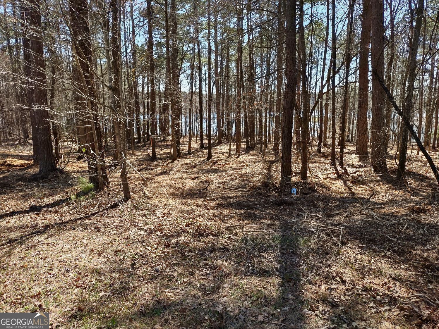 0 Panhandle Road, Unit LOT 1 Hampton, GA 30228 - Photo 28 of 40 a view of outdoor space with deck